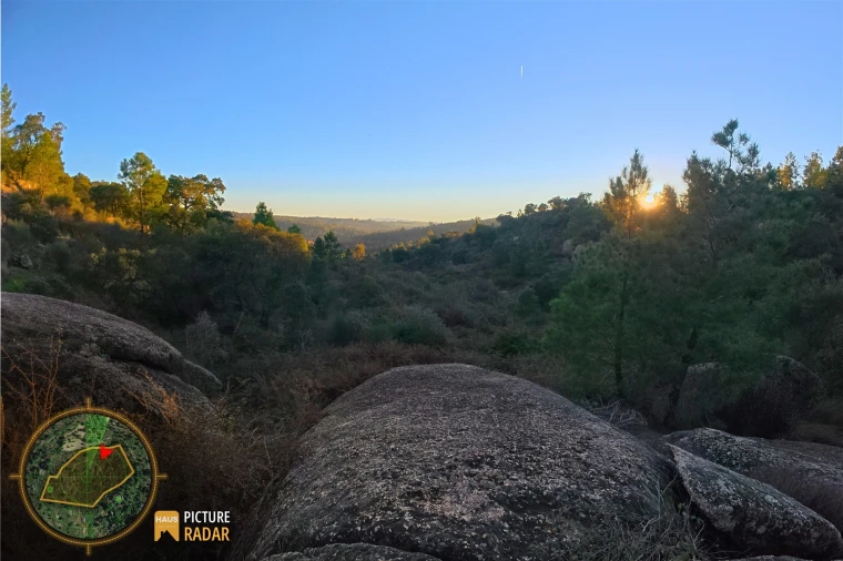 Terreno Agricola ou Rústico para Venda em Póvoa de Rio de Moinhos e Cafede Foto 23