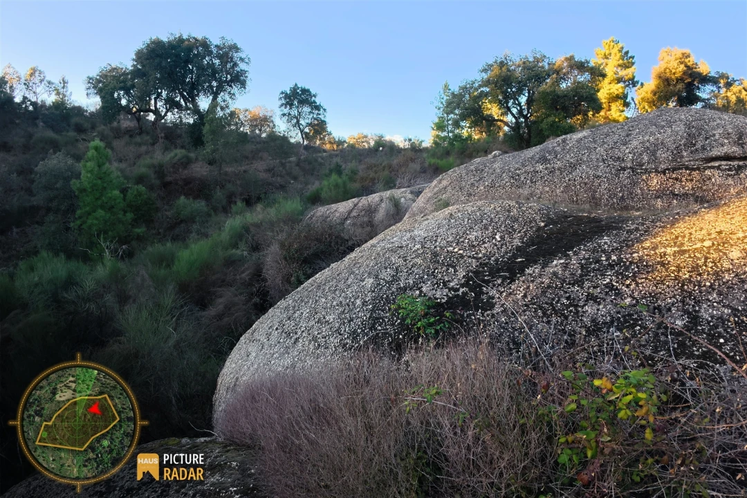 Terreno Agricola ou Rústico para Venda em Póvoa de Rio de Moinhos e Cafede Foto 6
