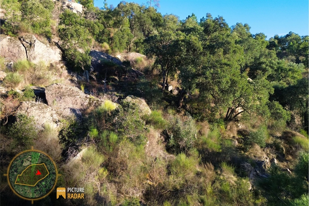 Terreno Agricola ou Rústico para Venda em Póvoa de Rio de Moinhos e Cafede Foto 27