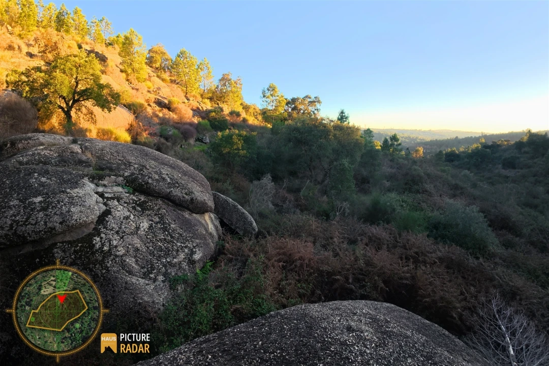 Terreno Agricola ou Rústico para Venda em Póvoa de Rio de Moinhos e Cafede Foto 20