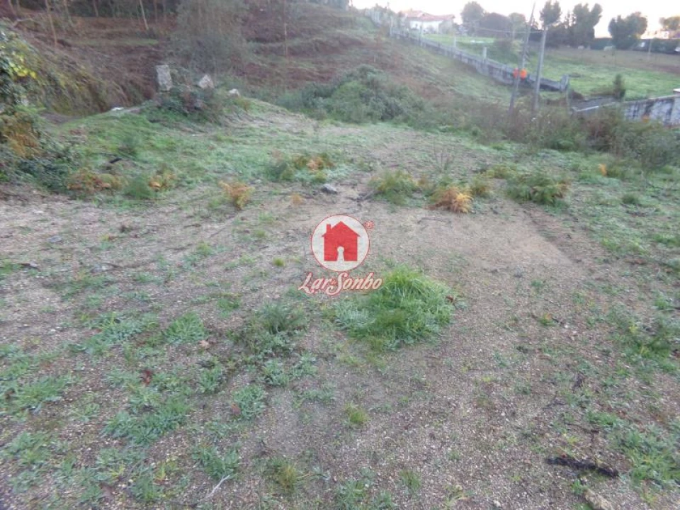 Terreno Agricola ou Rústico para Venda em Arnoso (Santa Maria e Santa Eulália) e Sezures Foto 3