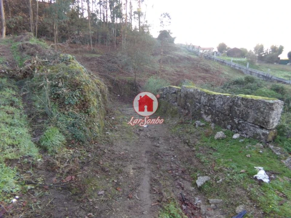 Terreno Agricola ou Rústico para Venda em Arnoso (Santa Maria e Santa Eulália) e Sezures Foto 5