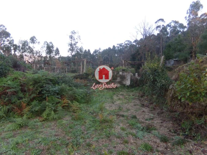Terreno Agricola ou Rústico para Venda em Arnoso (Santa Maria e Santa Eulália) e Sezures Foto 4