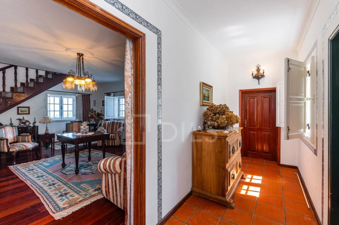 Quinta T6 para Venda em Galegos Foto 55