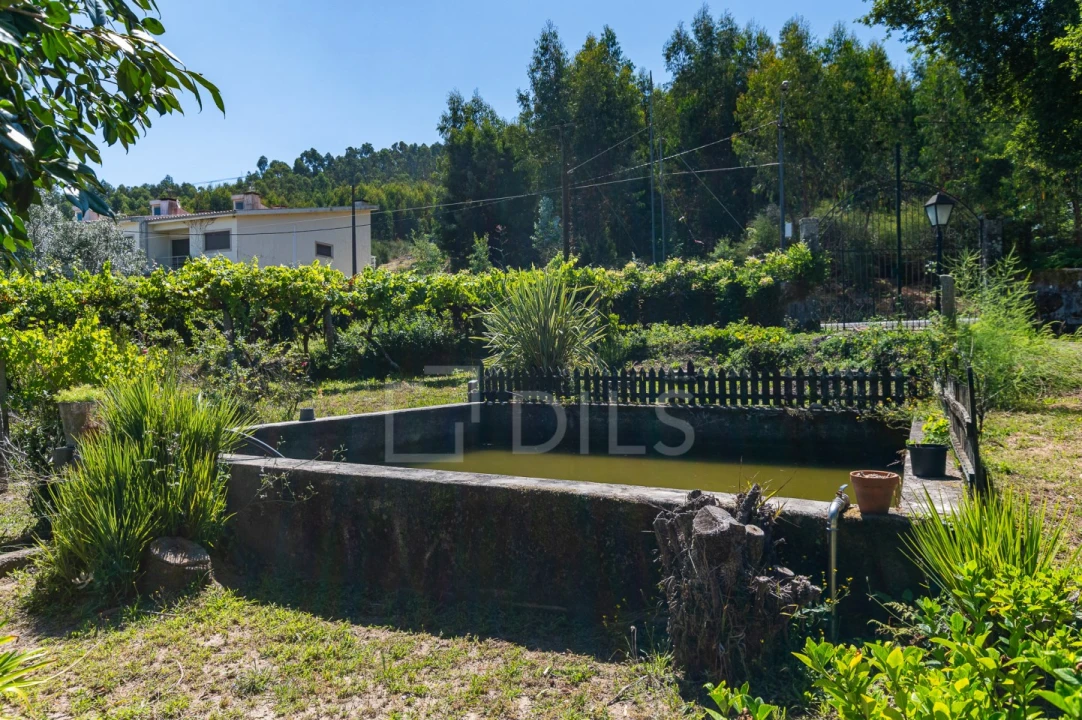 Quinta T6 para Venda em Galegos Foto 57