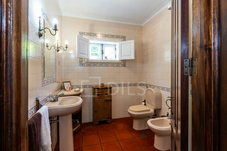 Quinta T6 para Venda em Galegos Foto 13