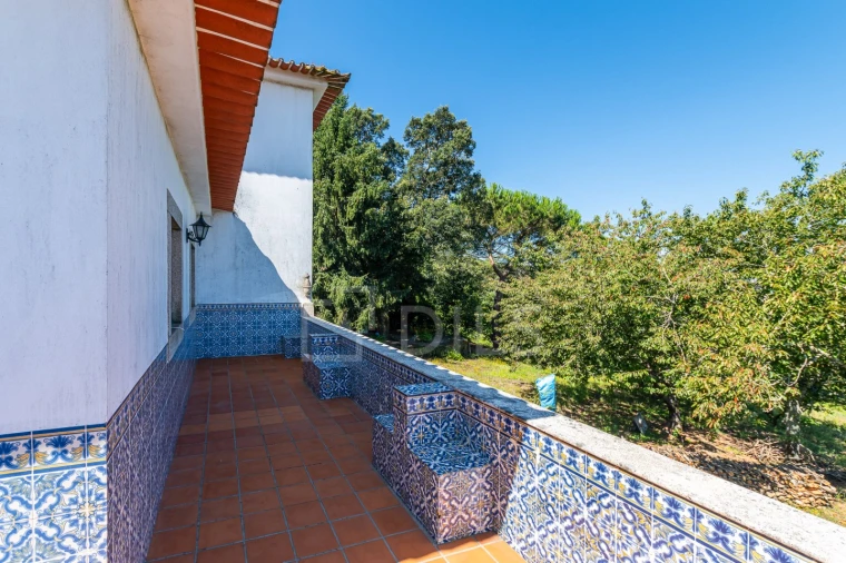 Quinta T6 para Venda em Galegos Foto 22