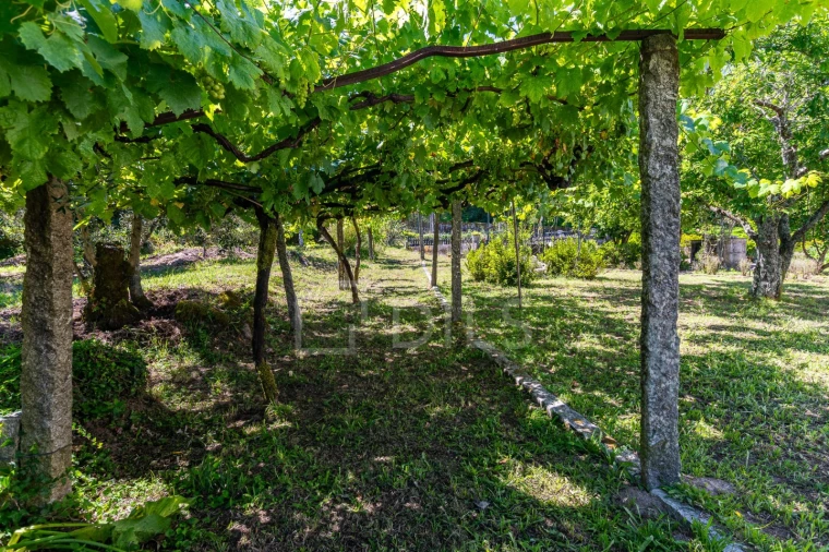 Quinta T6 para Venda em Galegos Foto 62