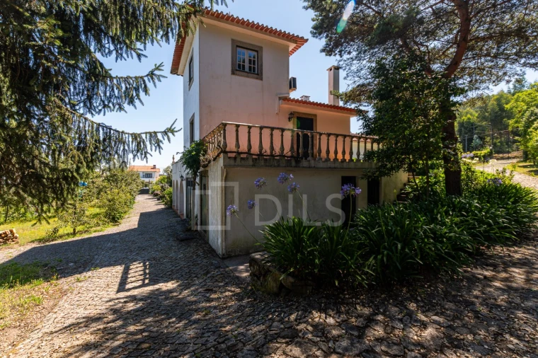 Quinta T6 para Venda em Galegos Foto 66