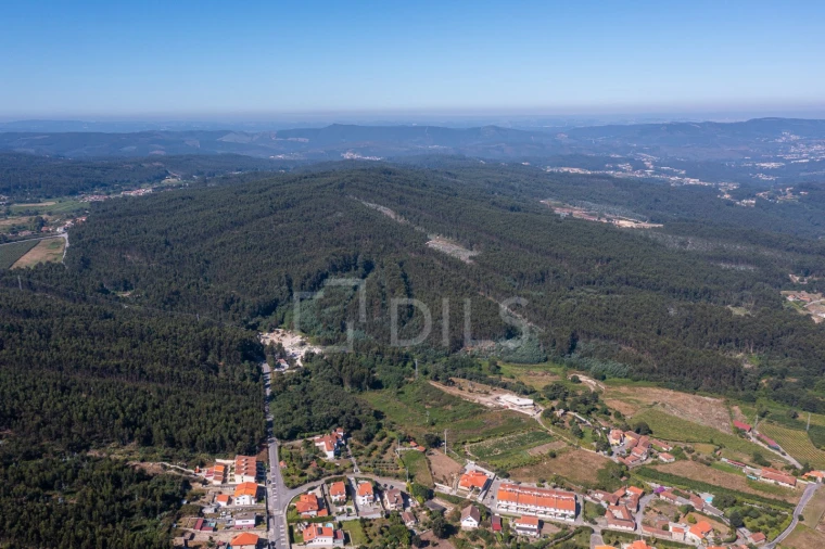 Quinta T6 para Venda em Galegos Foto 73