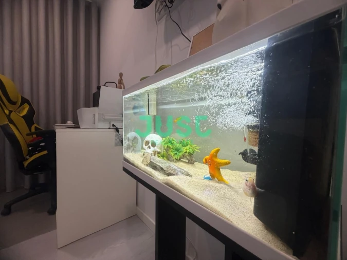 Moradia T3 para Venda em Quinta do Conde Foto 42