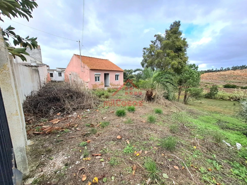 Moradia T2 para Venda em Santa Maria, São Pedro e Matacães Foto 3