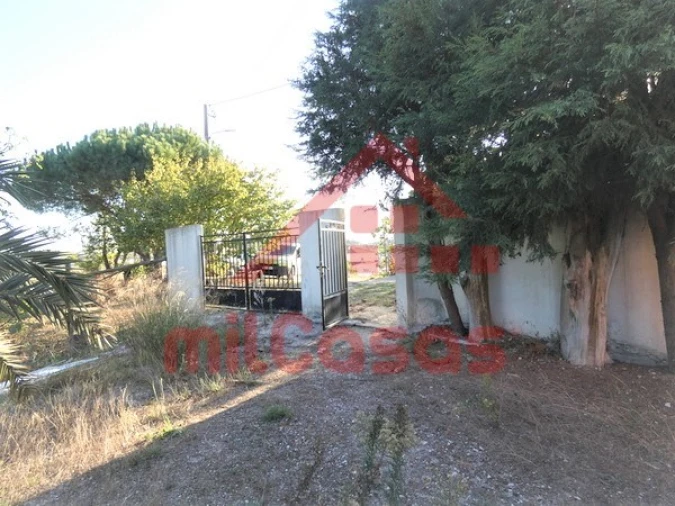 Moradia T2 para Venda em Santa Maria, São Pedro e Matacães Foto 19