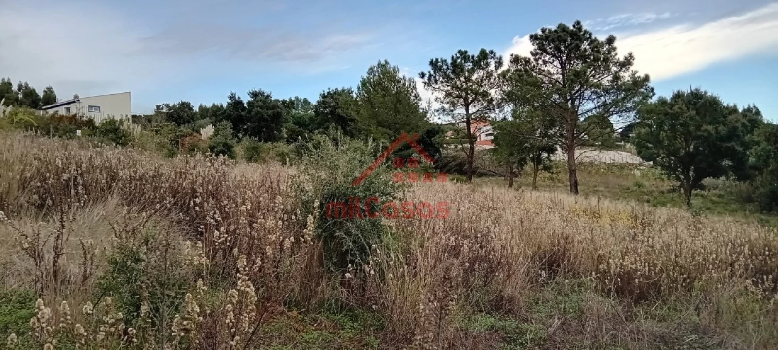 Terreno para Venda em Carvoeira e Carmões Foto 5