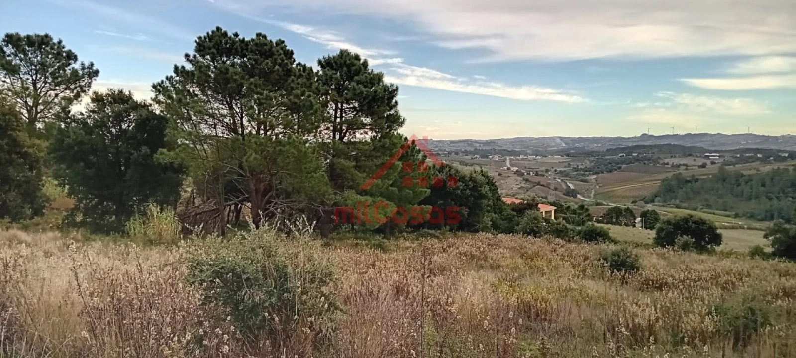 Terreno para Venda em Carvoeira e Carmões Foto 6