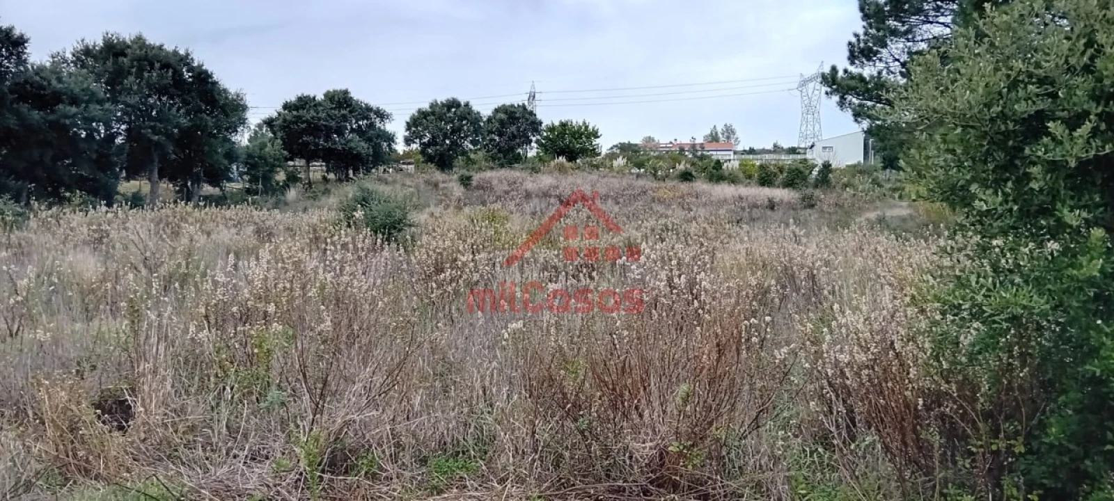 Terreno para Venda em Carvoeira e Carmões Foto 10