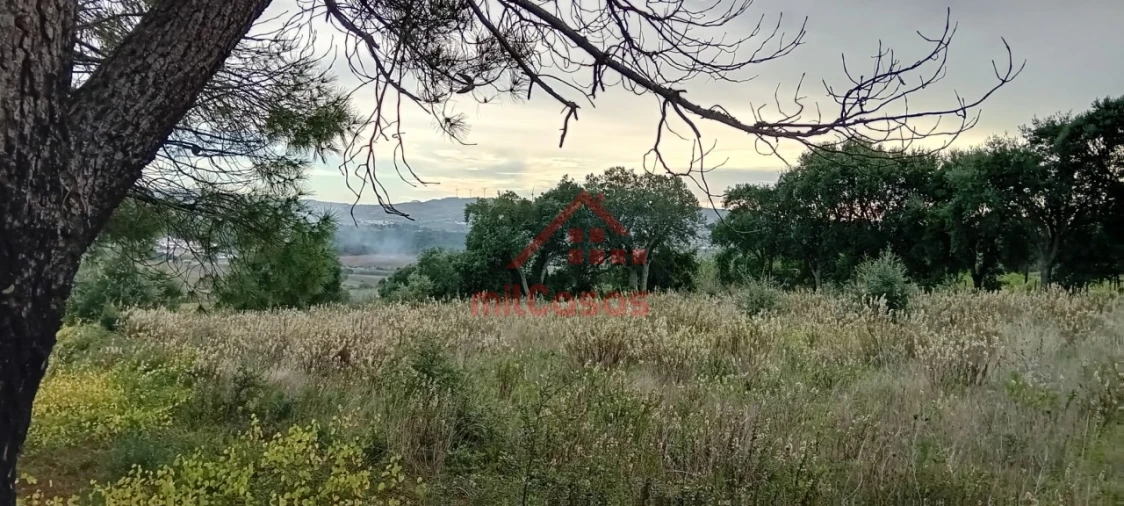 Terreno para Venda em Carvoeira e Carmões Foto 7