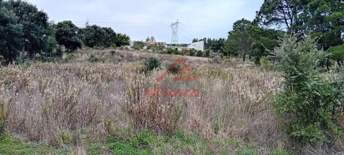 Terreno para Venda em Carvoeira e Carmões Foto 11