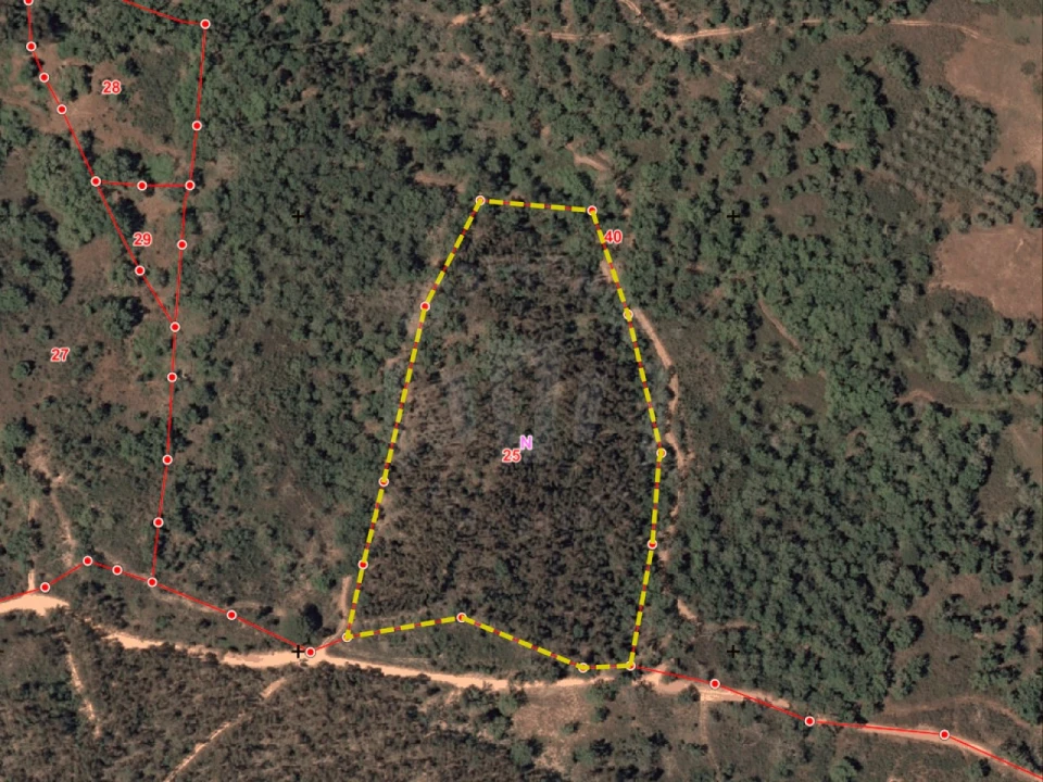 Terreno para Venda em Santiago do Cacém, Santa Cruz e São Bartolomeu da Serra Foto 25