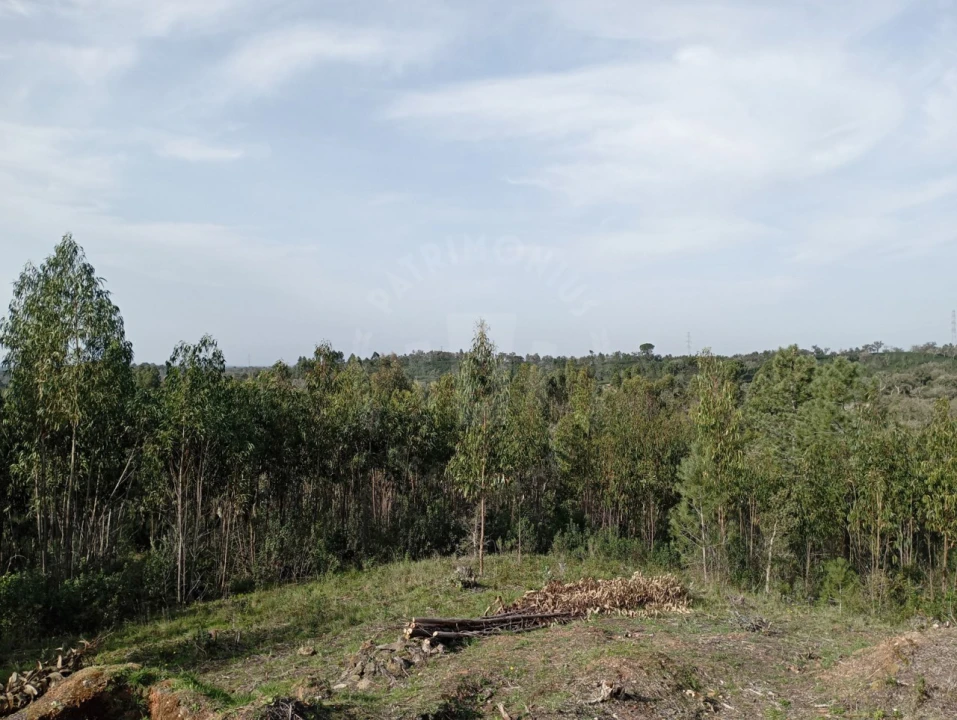Terreno para Venda em Santiago do Cacém, Santa Cruz e São Bartolomeu da Serra Foto 6
