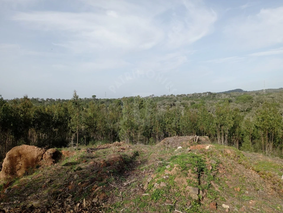 Terreno para Venda em Santiago do Cacém, Santa Cruz e São Bartolomeu da Serra Foto 8