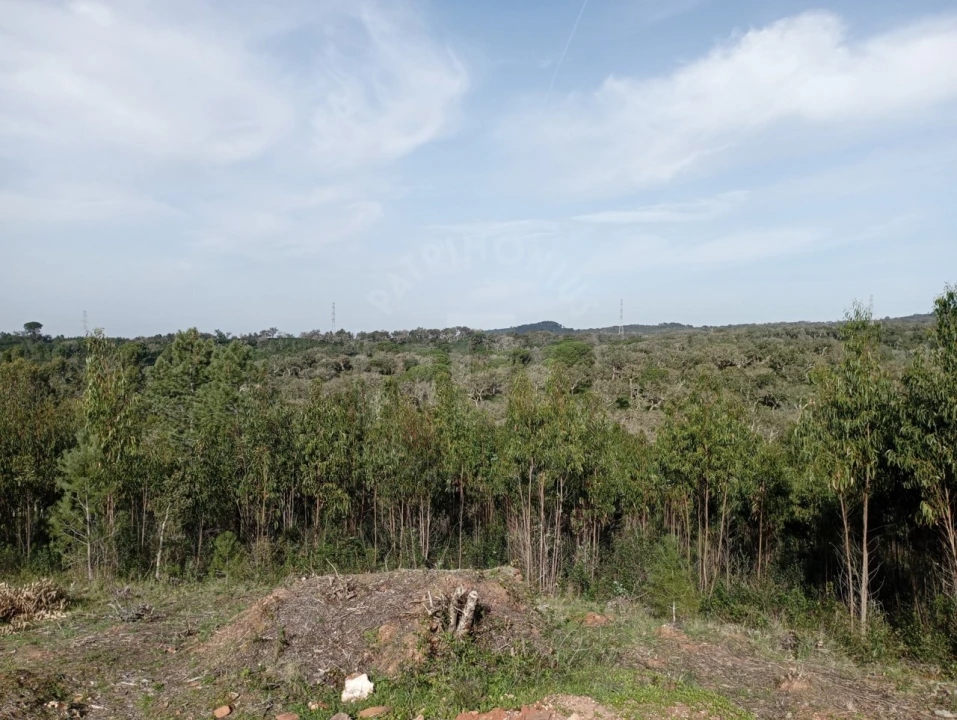 Terreno para Venda em Santiago do Cacém, Santa Cruz e São Bartolomeu da Serra Foto 10