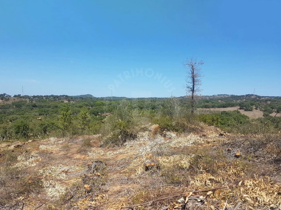 Terreno para Venda em Santiago do Cacém, Santa Cruz e São Bartolomeu da Serra Foto 14