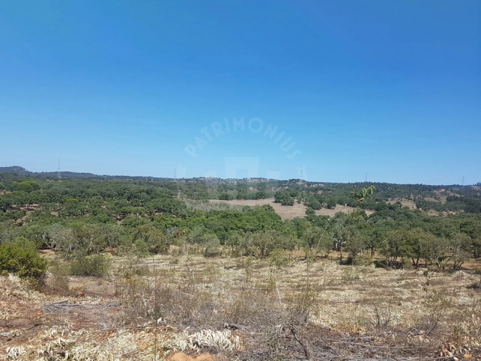 Terreno para Venda em Santiago do Cacém, Santa Cruz e São Bartolomeu da Serra Foto 17