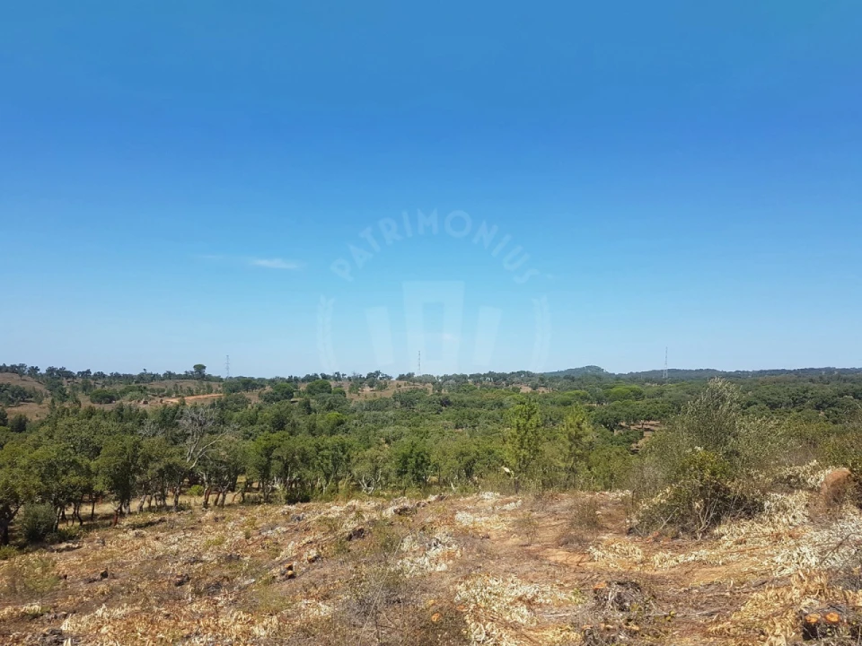 Terreno para Venda em Santiago do Cacém, Santa Cruz e São Bartolomeu da Serra Foto 21