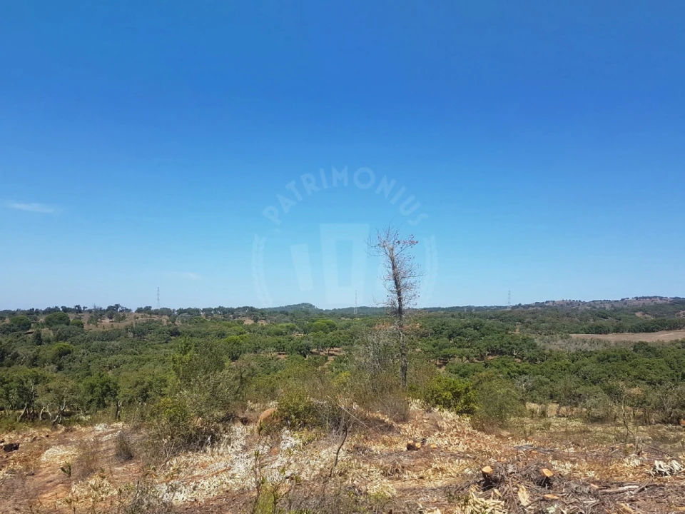 Terreno para Venda em Santiago do Cacém, Santa Cruz e São Bartolomeu da Serra Foto 22