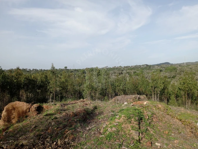 Terreno para Venda em Santiago do Cacém, Santa Cruz e São Bartolomeu da Serra Foto 8