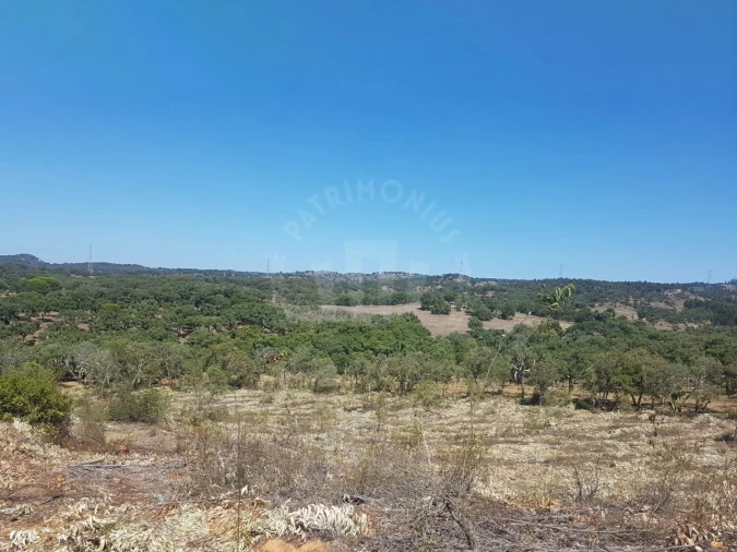 Terreno para Venda em Santiago do Cacém, Santa Cruz e São Bartolomeu da Serra Foto 17
