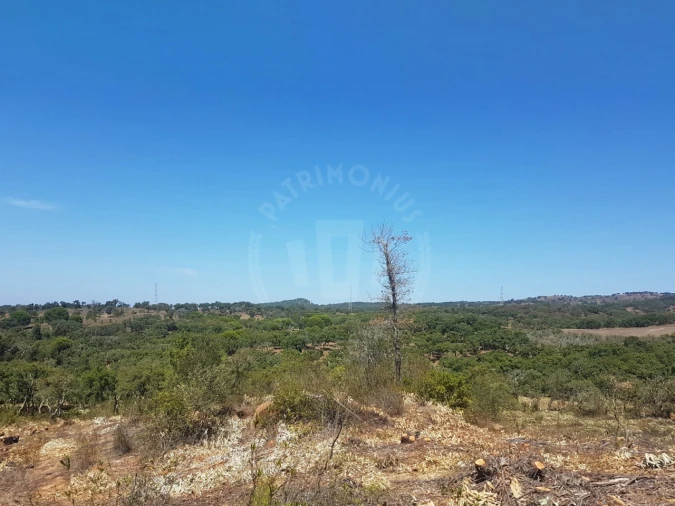 Terreno para Venda em Santiago do Cacém, Santa Cruz e São Bartolomeu da Serra Foto 22