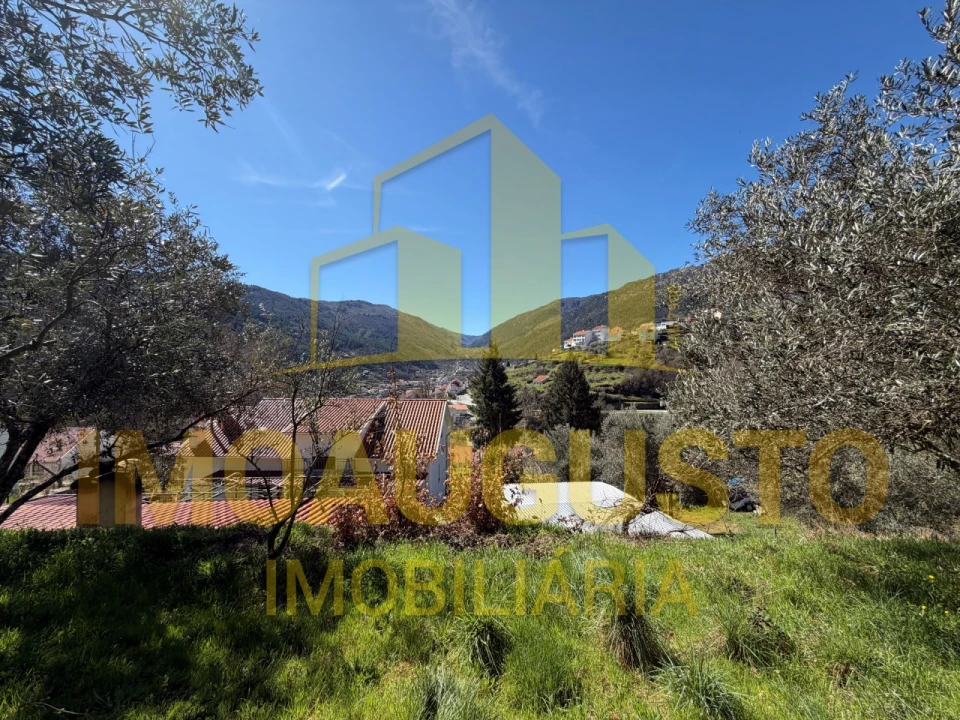 Terreno para Venda em Manteigas (Santa Maria) Foto 4