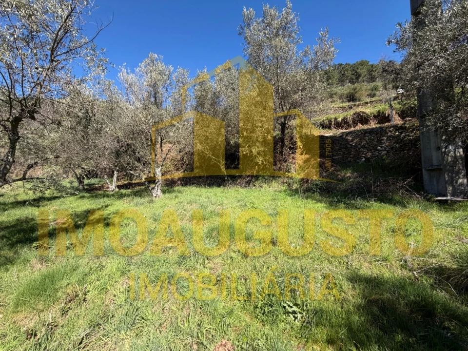 Terreno para Venda em Manteigas (Santa Maria) Foto 1