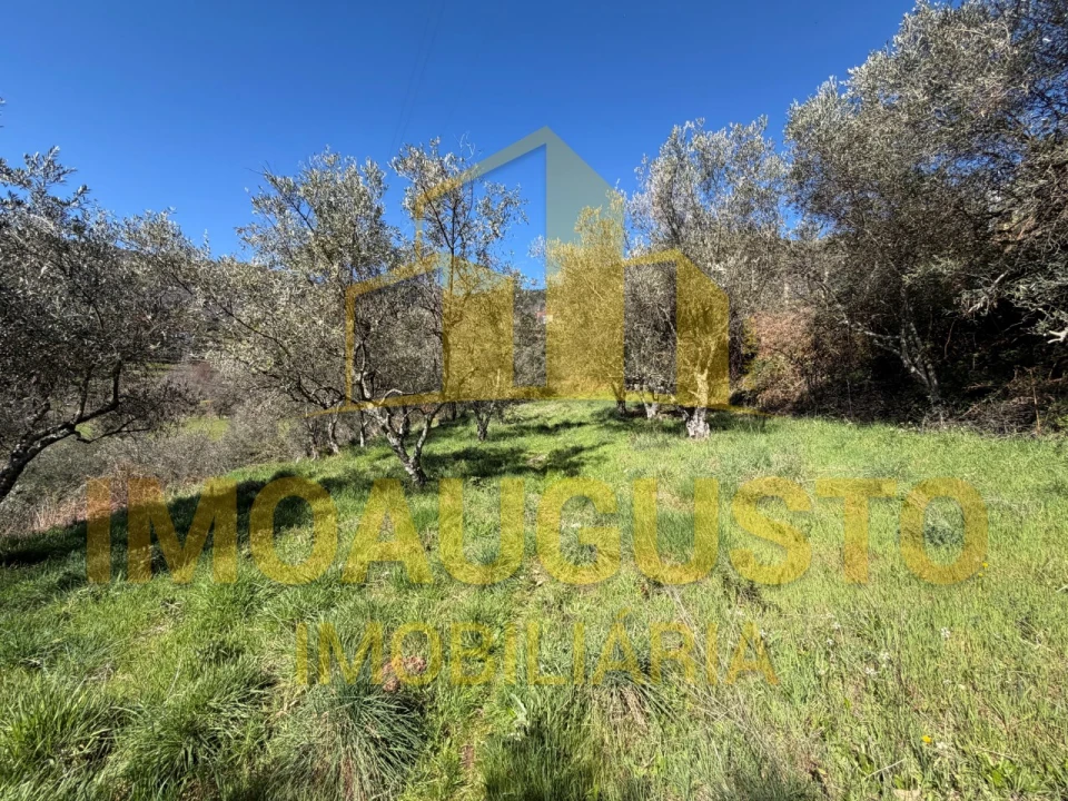 Terreno para Venda em Manteigas (Santa Maria) Foto 3