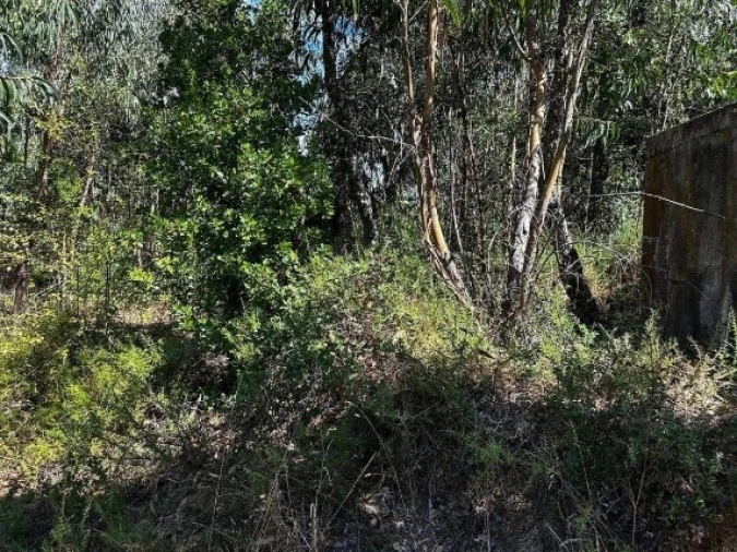 Terreno Agricola ou Rústico para Venda em Olalhas Foto 6