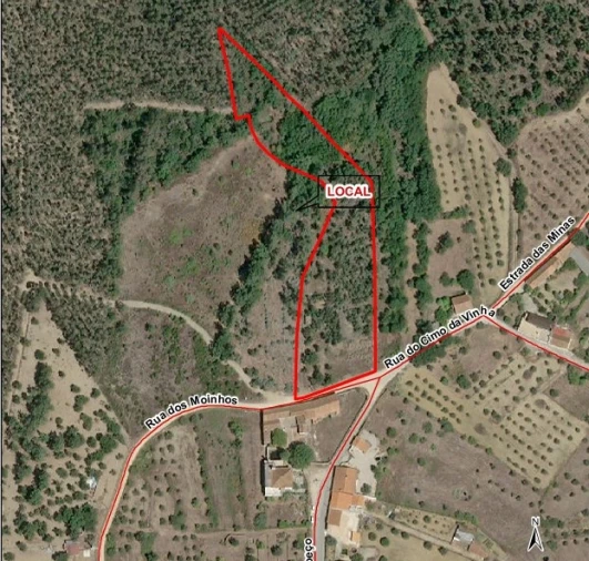 Terreno Agricola ou Rústico para Venda em Olalhas Foto 11