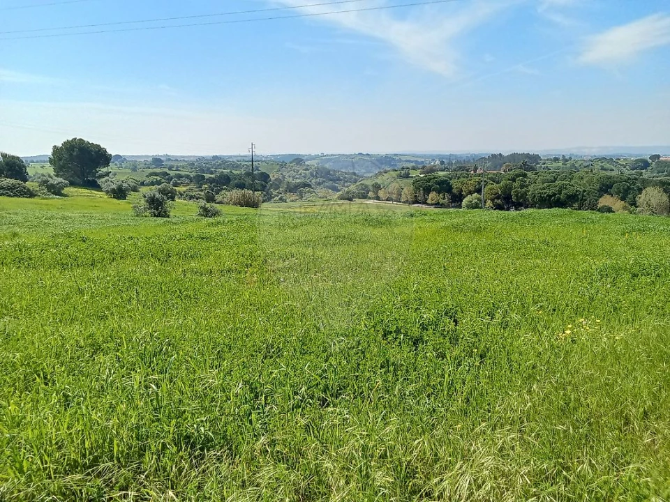 Terreno para Venda em Aveiras de Cima Foto 1