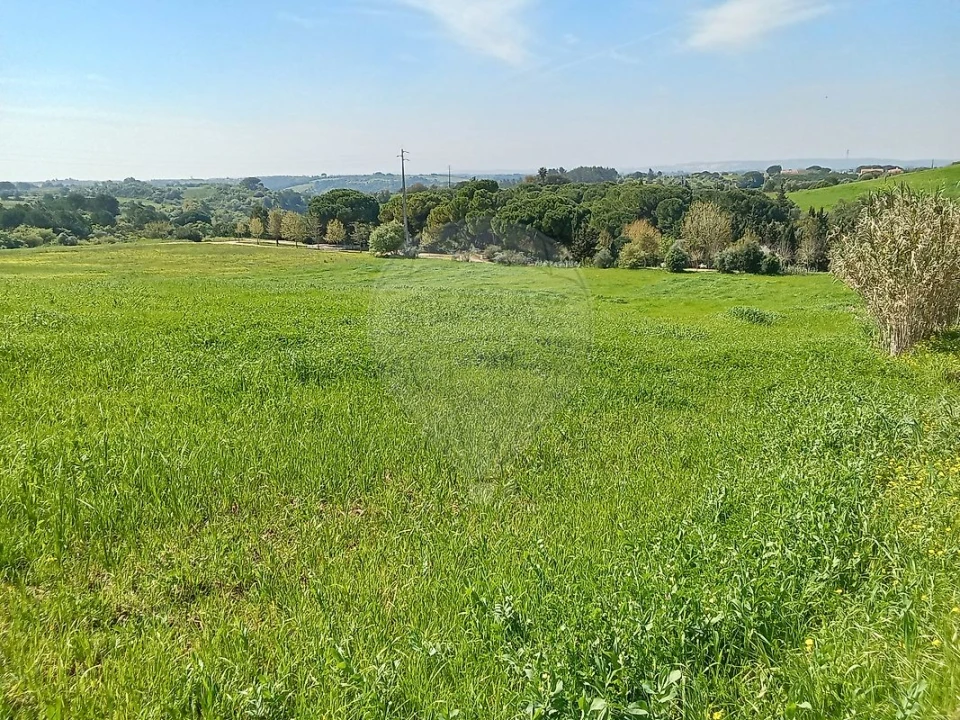 Terreno para Venda em Aveiras de Cima Foto 4