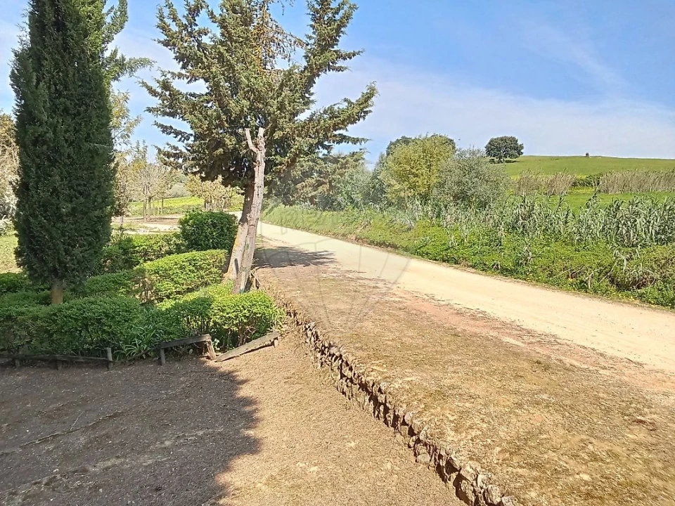 Terreno para Venda em Aveiras de Cima Foto 17