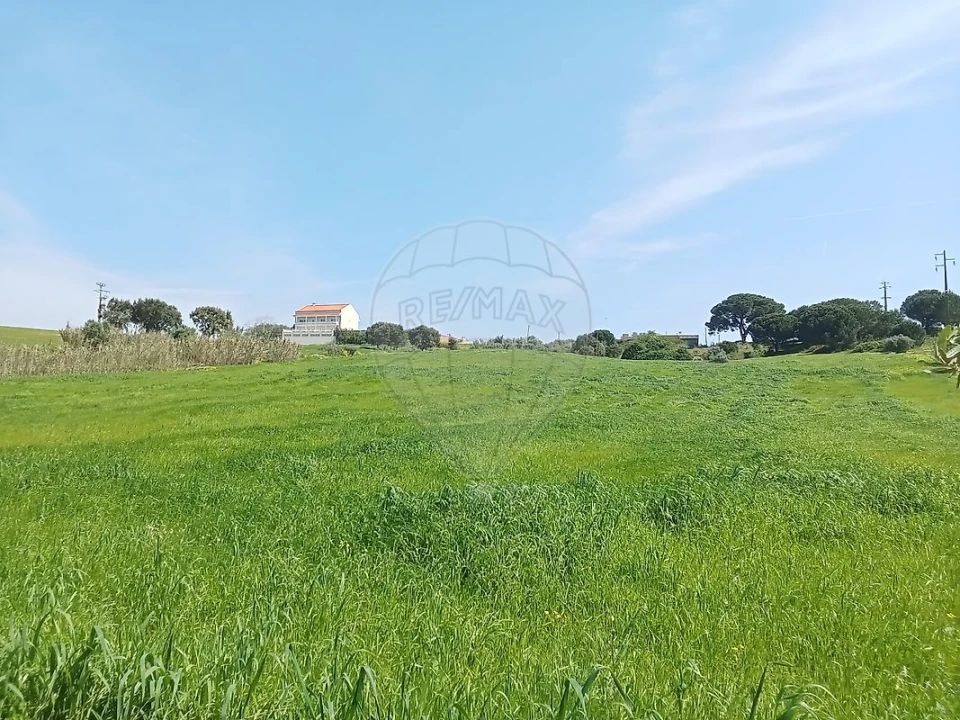 Terreno para Venda em Aveiras de Cima Foto 15