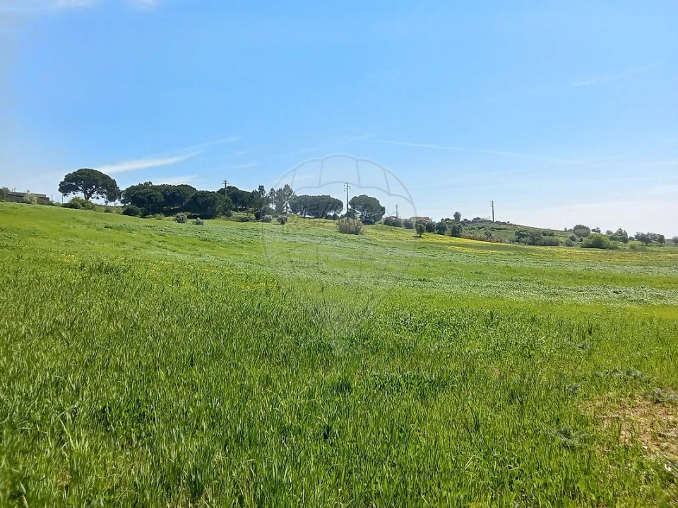 Terreno para Venda em Aveiras de Cima Foto 10