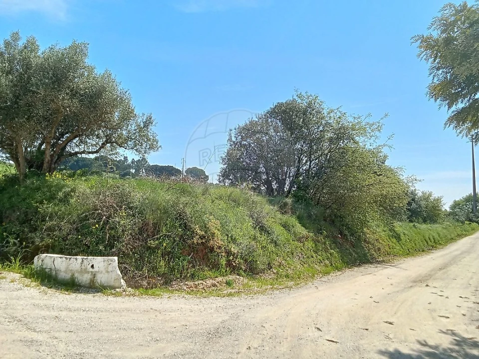 Terreno para Venda em Aveiras de Cima Foto 13