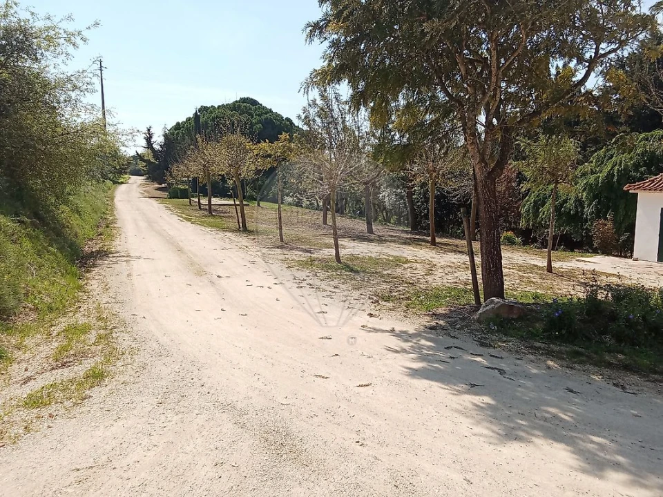 Terreno para Venda em Aveiras de Cima Foto 12