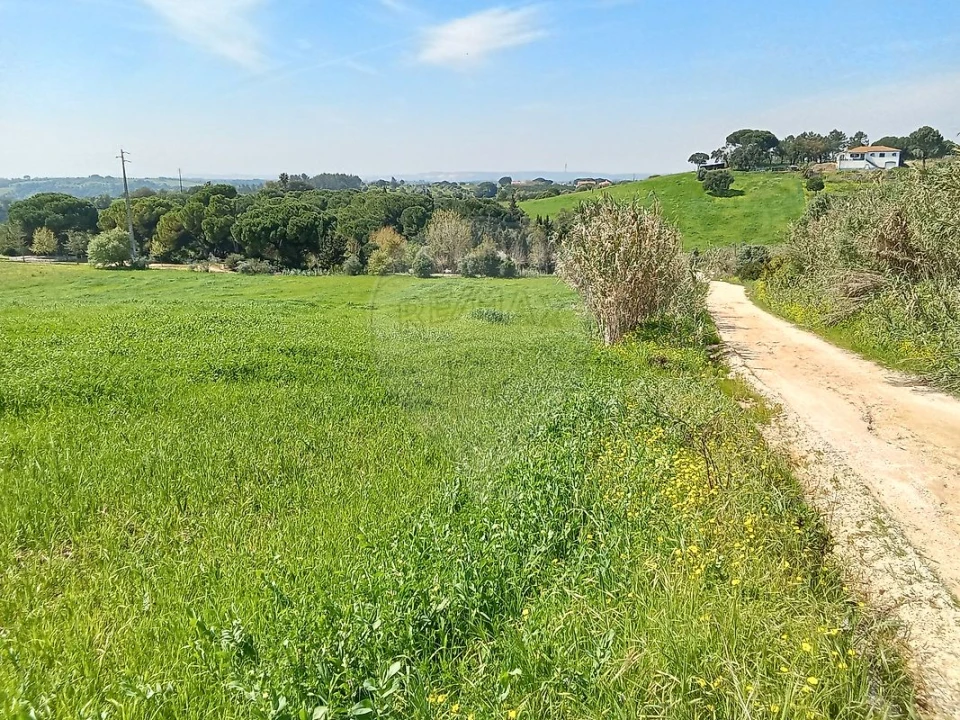 Terreno para Venda em Aveiras de Cima Foto 6