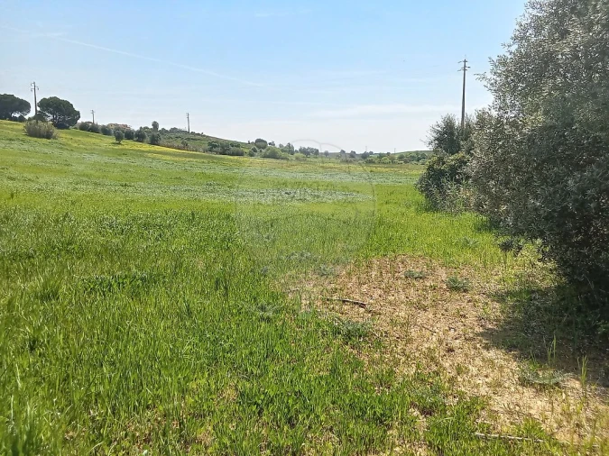 Terreno para Venda em Aveiras de Cima Foto 11