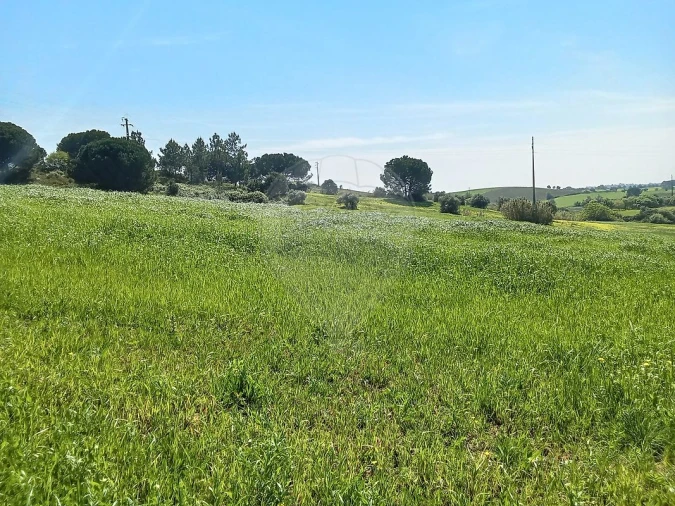 Terreno para Venda em Aveiras de Cima Foto 8