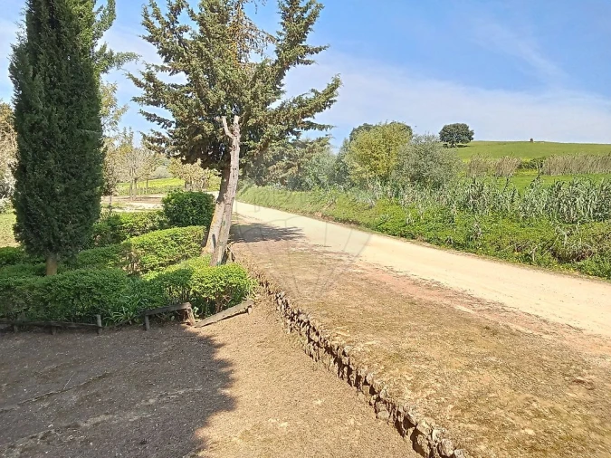 Terreno para Venda em Aveiras de Cima Foto 17