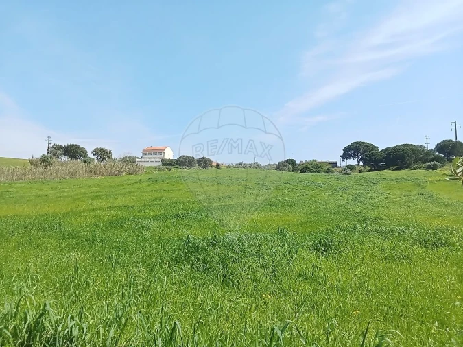 Terreno para Venda em Aveiras de Cima Foto 15